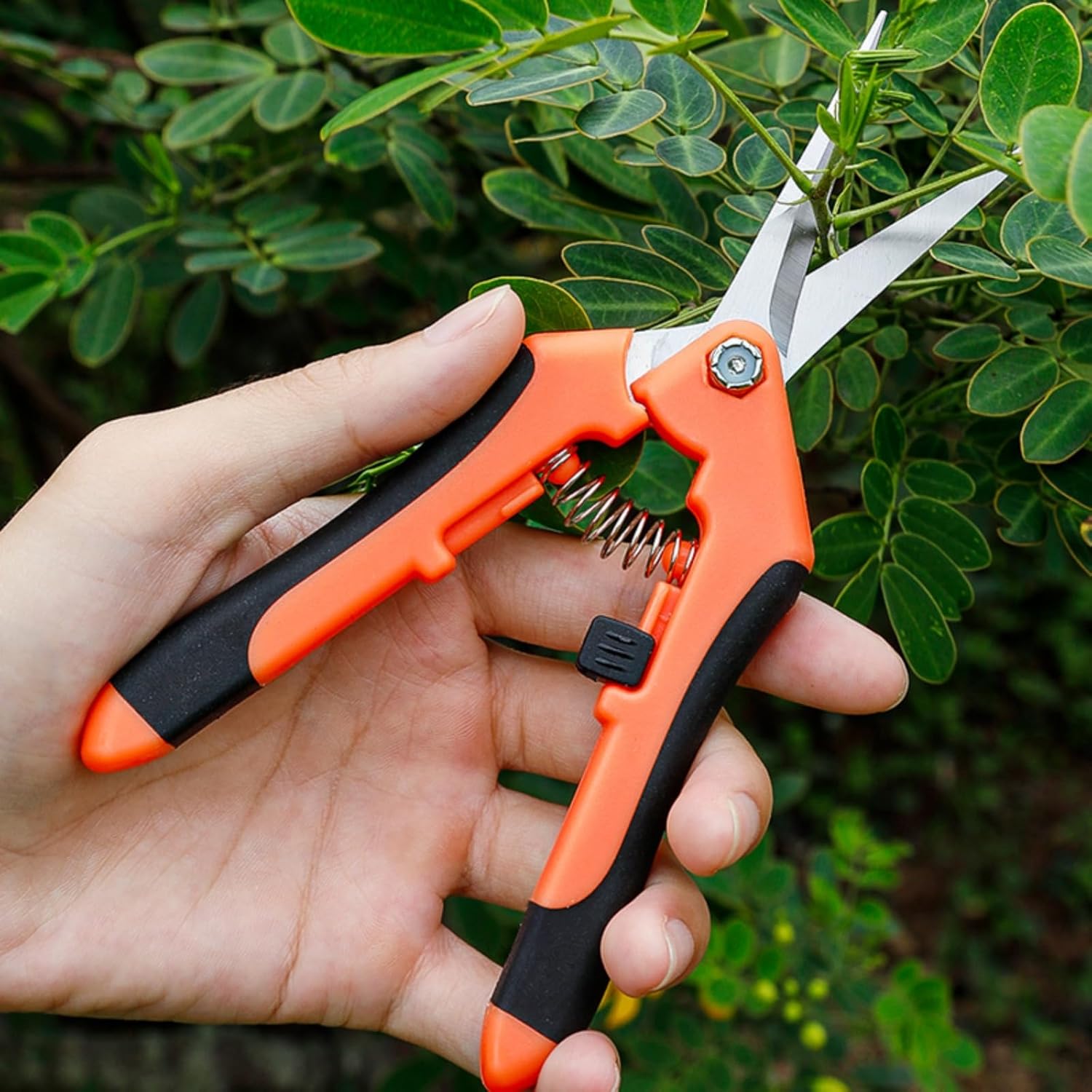Product View