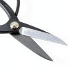 Japanese Bonsai Scissors Wazakura Carbon Steel-4