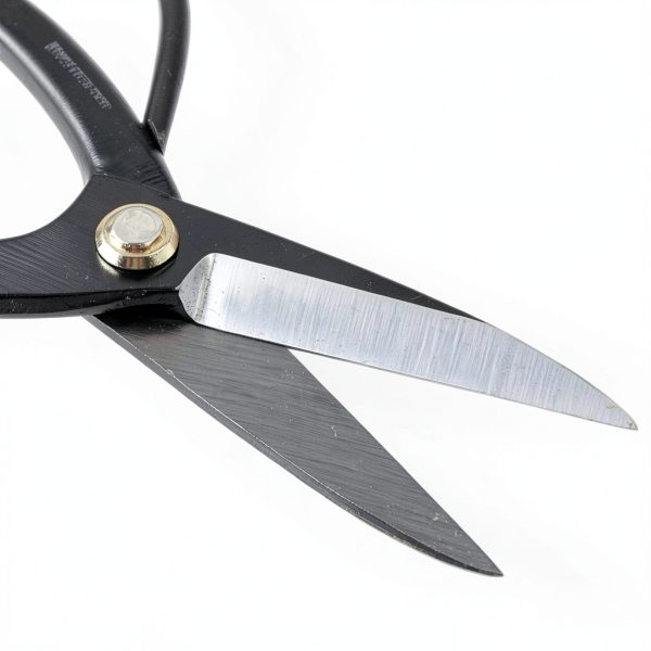 Japanese Bonsai Scissors Wazakura Carbon Steel-4