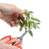 Gardening Shears forest Originals Stainless Steel-7