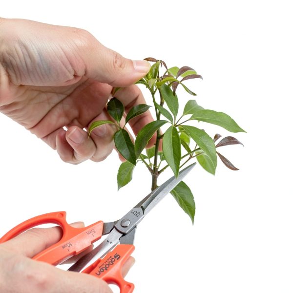 Gardening Shears forest Originals Stainless Steel-7