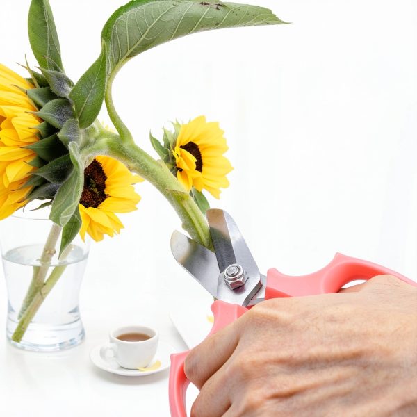 Housolution Gardening Scissors Alloy Steel Anvil-1