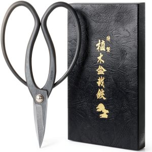 Japanese Bonsai Scissors Wazakura Carbon Steel-0