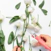 Housolution Gardening Scissors Alloy Steel Anvil-6